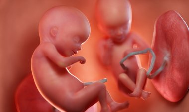 7 Soru-Cevap İle Embriyo Genetik Test Hakkında Merak Edilenler