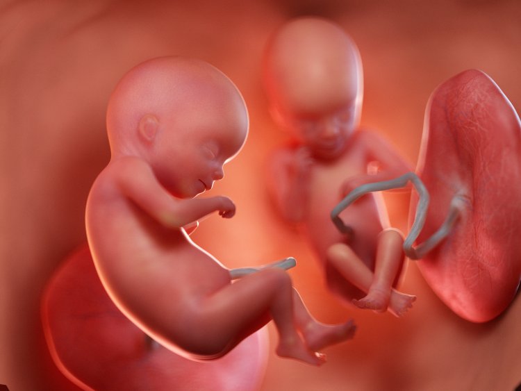 7 Soru-Cevap İle Embriyo Genetik Test Hakkında Merak Edilenler