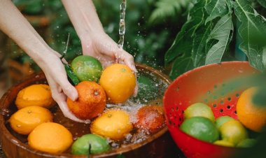 24. Alerji Seminerleri Yarın Başlıyor