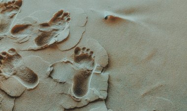 Yeni Keşif: Ayak izi, Su ve Nefesten DNA Tespit Edilebilir