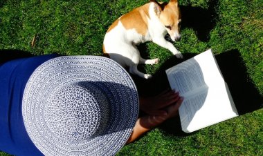 Aşırı Sıcaklardan Beynimizi Korumanın 5 Püf Noktası!