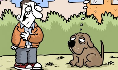 Boehringer Ingelheim, Pet Ebeveynlerini Bilgilendiriyor