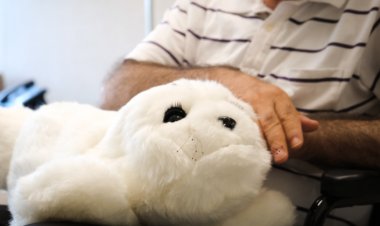 Refakatçi Tedavi Robotu Paro Hastalarla Buluştu