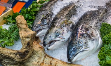 Dondurulmuş Balık Sağlıklı mı?