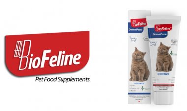 Biofeline ile Evcil Hayvanlarınız Sağlıklı Büyüsün