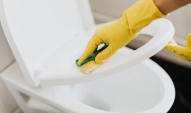 Dezenfektanla Silinen Klozetler Alerjiye Neden Oluyor!