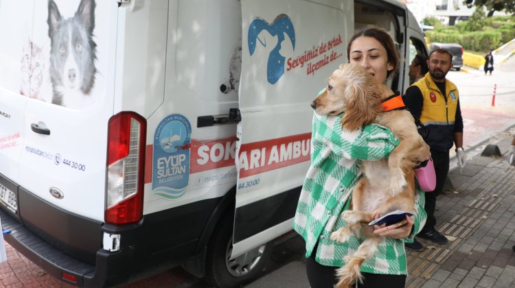 Sokak Hayvanları Ambulansı Mahallelerde