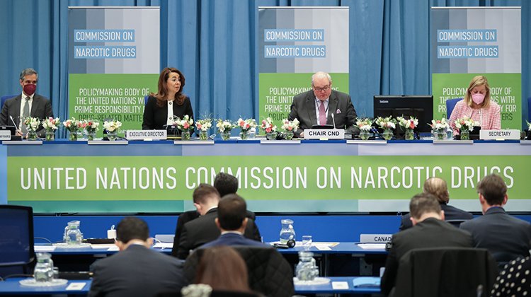 Dünya Doktorları, BM Uyuşturucu Madde Komisyonu Etkinliğine Ev Sahipliği Yapacak