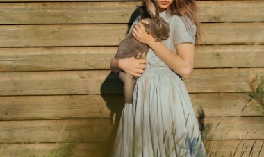 Alice Harikalar Diyarında Sendromu Nedir?