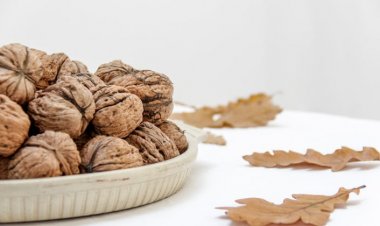 Düzenli Ceviz Tüketmek Bazı Kanser Türlerini Önlüyor