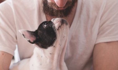 Nuh Sendromu: Evini Evcil Hayvanlarla Doldurma Hastalığı!