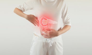 Safra Kesesi Taşı Belirtileri ve Tedavisi