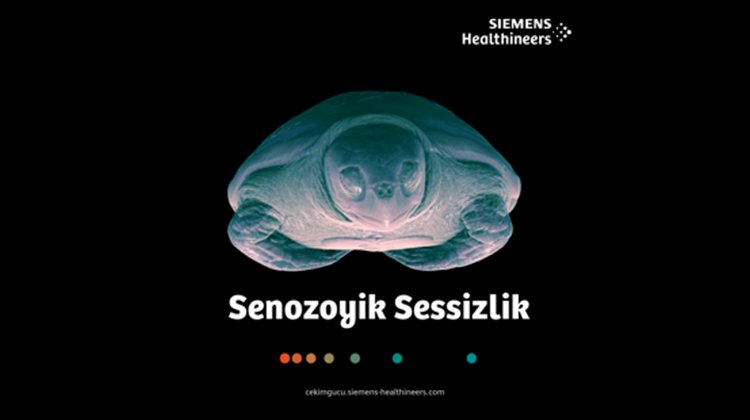 Siemens Healthineers Türkiye, Dijital Sergi ile Hayvan Sağlığına Dikkat Çekti