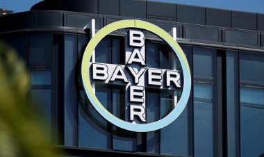 Bayer Girişim Haritasını Yayınladı
