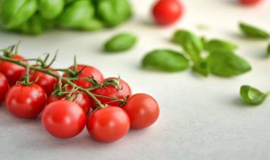 Kalp Dostu ve Kanser Savaşçısı Domatesin Faydaları