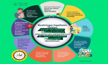 Boehringer Ingelheim’dan Çalışan Dostu Uygulamalar