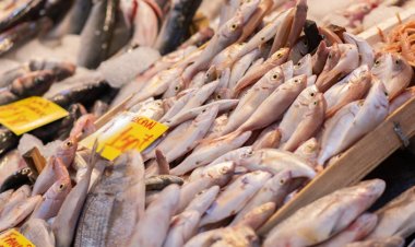 Balık Sezonu Başladı: İşte Balık Tüketmenin 10 Faydası